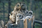 IIP Online Student Photography